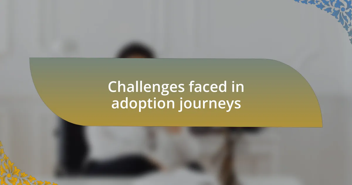Challenges faced in adoption journeys