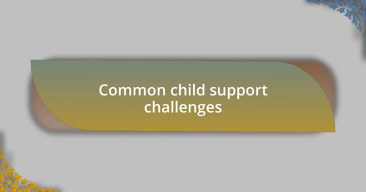 Common child support challenges