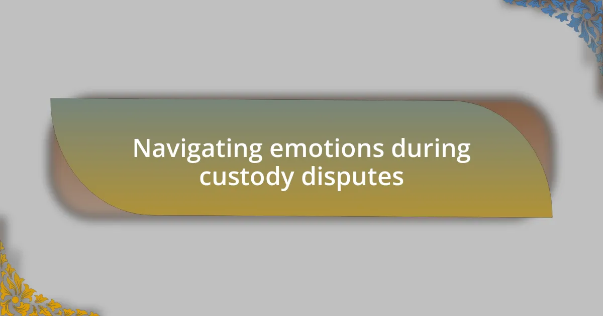 Navigating emotions during custody disputes